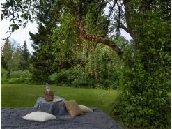 Star Trading LED-Lichterkette Golden, 16 m, 800 LED Outdoor -Weihnachtsbeleuchtung Verkäufe 183348322 xxl