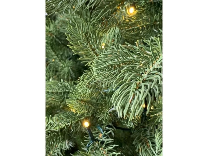 Botanic-Haus Weihnachtsbaum De Luxe 256 LEDs Easy Shape, 150 cm 2 Botanic-Haus Weihnachtsbaum De Luxe 256 LEDs Easy Shape, 150 cm – Bild 2