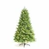 Botanic-Haus Weihnachtsbaum De Luxe 333 LEDs Easy Shape, 210 cm