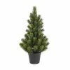 Botanic-Haus Weihnachtsbaum Tannenbaum im Topf, 51 cm