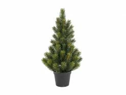 Botanic-Haus Weihnachtsbaum Tannenbaum im Topf, 51 cm