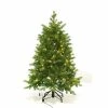 Botanic-Haus Weihnachtsbaum De Luxe 200 LEDs Easy Shape, 120 cm