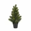Botanic-Haus Weihnachtsbaum Tannenbaum im Topf, 41 cm