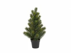 Botanic-Haus Weihnachtsbaum Tannenbaum im Topf, 41 cm