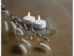 Star Trading LED Teelichter Set Flamme Ø 5.8 x 5.5 cm, Weiss, 2 Stk -Weihnachtsbeleuchtung Verkäufe 193861116 xxl