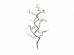 Sirius Zweig Rasmine, 66 LEDs, 90 cm