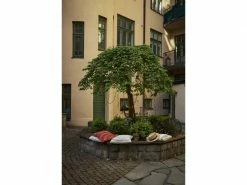 Star Trading LED-Lichterkette Golden 180 LED, 360 cm, outdoor 11 Star Trading LED-Lichterkette Golden 180 LED, 360 cm, outdoor -Weihnachtsbeleuchtung Verkäufe 209124511 xxl 1