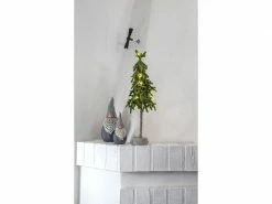 Star Trading Weihnachtsbaum Lummer, 10 LEDs, 45 cm, Grün 16 Star Trading Weihnachtsbaum Lummer, 10 LEDs, 45 cm, Grün -Weihnachtsbeleuchtung Verkäufe 209129439 xxl