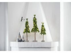 Star Trading Weihnachtsbaum Lummer, 10 LEDs, 45 cm, Grün 17 Star Trading Weihnachtsbaum Lummer, 10 LEDs, 45 cm, Grün -Weihnachtsbeleuchtung Verkäufe 209129442 xxl 1