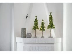 Star Trading Weihnachtsbaum Lummer, 20 LEDs, 65 cm, Grün -Weihnachtsbeleuchtung Verkäufe 209129448 xxl