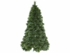 Star Trading Weihnachtsbaum Cembra, 2.4 m, Grün