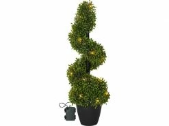 Star Trading Baum Buxbom, 0.65 m, Grün, 20 LED