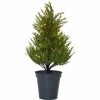 Star Trading Baum Thuja, 0.55 m, Grün, 40 LED