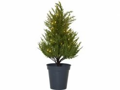 Star Trading Baum Thuja, 0.55 m, Grün, 40 LED