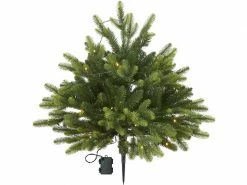 Star Trading Weihnachtsbaum Busk, 40 LEDs, 75 cm, Grün