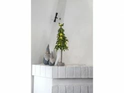 Star Trading Weihnachtsbaum Lummer, 10 LEDs, 45 cm, Grün 15 Star Trading Weihnachtsbaum Lummer, 10 LEDs, 45 cm, Grün -Weihnachtsbeleuchtung Verkäufe 225466556 xxl