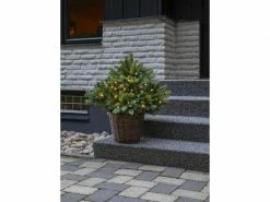 Star Trading Weihnachtsbaum Busk, 40 LEDs, 75 cm, Grün 6 Star Trading Weihnachtsbaum Busk, 40 LEDs, 75 cm, Grün -Weihnachtsbeleuchtung Verkäufe 225466630 xxl