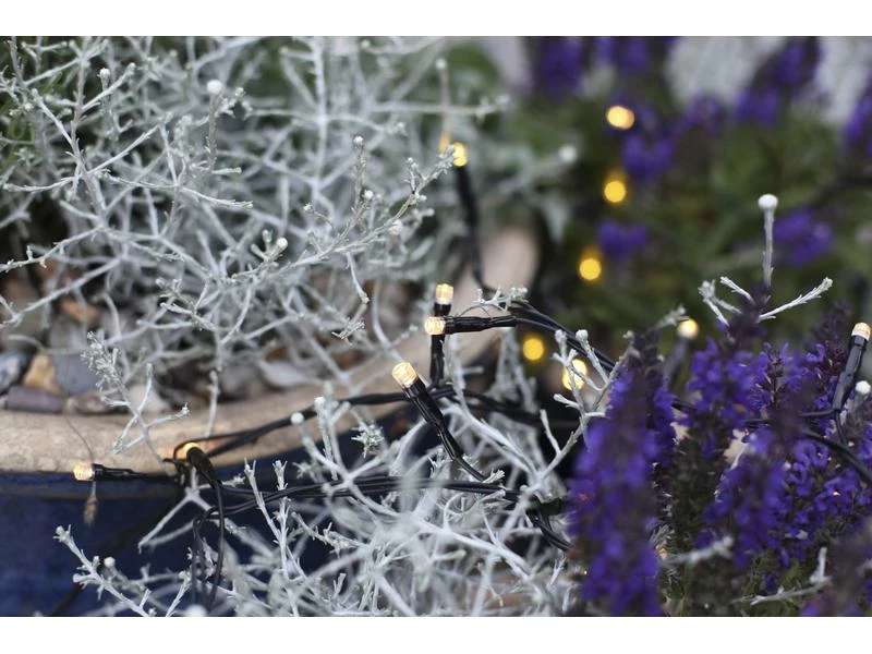 Star Trading Lichterkette Erweiterungssystem Decor, 100 LED, 10 m 2 Star Trading Lichterkette Erweiterungssystem Decor, 100 LED, 10 m – Bild 2