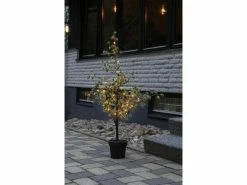 Star Trading Baum Larix, 1.17 m, Grün, 40 LED -Weihnachtsbeleuchtung Verkäufe 225474366 xxl