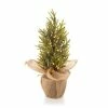 STT Weihnachtsbaum Nordic Tree, 45 cm, Grün