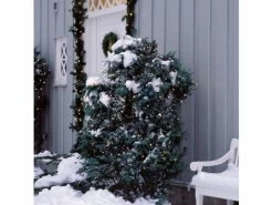 Sirius LED-Lichternetz David 100 LED 100 × Lampen -Weihnachtsbeleuchtung Verkäufe 52254859 xxl