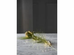 Star Trading LED Lichterkette Angel Hair 2 m, Silber -Weihnachtsbeleuchtung Verkäufe 52793431 xxl