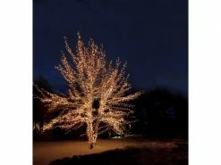 Star Trading Lichterkette Erweiterungssystem Expo, 50 LED 5 m 11 Star Trading Lichterkette Erweiterungssystem Expo, 50 LED 5 m -Weihnachtsbeleuchtung Verkäufe 53050842 xxl