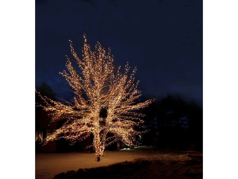 Star Trading Lichterkette Erweiterungssystem Expo, 50 LED 5 m 4 Star Trading Lichterkette Erweiterungssystem Expo, 50 LED 5 m – Bild 4