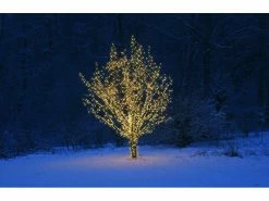 Star Trading Lichterkette Erweiterungssystem Expo, 50 LED 5 m 13 Star Trading Lichterkette Erweiterungssystem Expo, 50 LED 5 m -Weihnachtsbeleuchtung Verkäufe 53050987 xxl