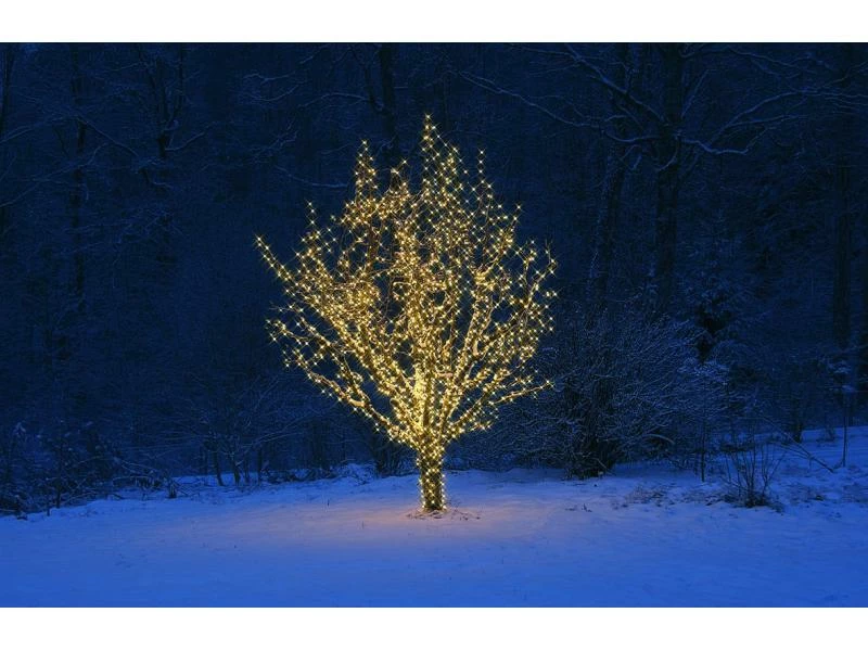 Star Trading Lichterkette Erweiterungssystem Expo, 50 LED 5 m 6 Star Trading Lichterkette Erweiterungssystem Expo, 50 LED 5 m – Bild 6