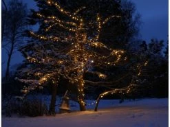 Star Trading Lichtervorhang Erweiterungssystem 24, 98 LED 2 m -Weihnachtsbeleuchtung Verkäufe 53080055 xxl 1