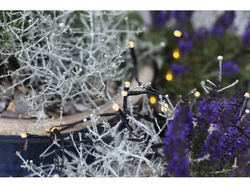 Star Trading Lichterkette Erweiterungssystem Decor, 50 LED 5 m 2 Star Trading Lichterkette Erweiterungssystem Decor, 50 LED 5 m – Bild 2