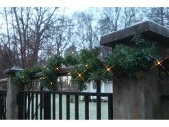 Star Trading LED-Girlande Canadian 2.5 m Grün, 30 LED, Outdoor -Weihnachtsbeleuchtung Verkäufe 53403125 xxl