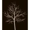 STT Baum Fairy Tale 1.8 m Weiss 176 LED