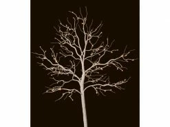 STT Baum Fairy Tale 1.8 m Weiss 176 LED